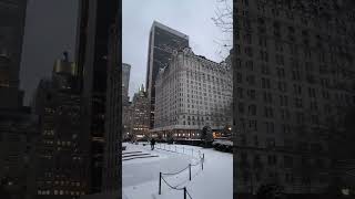 Plaza Hotel NEWYORK🏙️ newyork plazahotel homealone christmas winter merychristmas [upl. by Rausch]