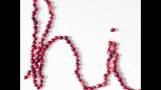 Cranberry Rope Garland [upl. by Eilojne]