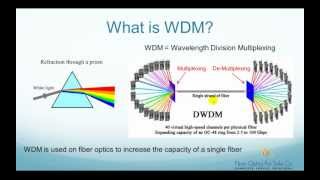 What is WDM Wavelength Division Multiplexer  FO4SALECOM [upl. by Ariaz]