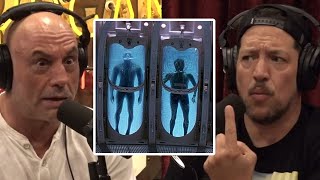 Would You Freeze Yourself  Joe Rogan amp Sal Vulcano [upl. by Anthea]