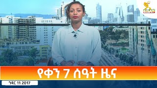 Ethiopia  Esat Amharic Day Time News 20 November 2024 [upl. by Shanon]