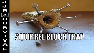 How To Make A Squirrel Block Trap [upl. by Nnaacissej479]