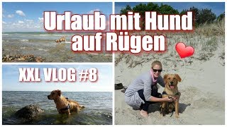 XXL VLOG 8  Urlaub mit Hund auf Rügen [upl. by Mommy904]