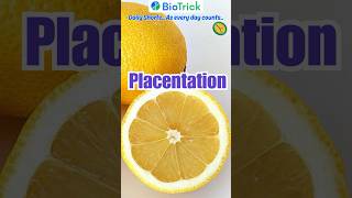 Placentation  Types of Placentation  Morphology of Flowering Plants  NEET  Class 11 Biology [upl. by Oni]