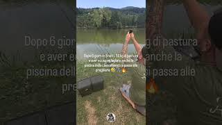 Ultima spiaggia 😂🙌 fishing carps carphunter carping carp carpfishing lake prayer [upl. by Mechelle994]