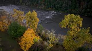 Fall colors on the Umpqua River [upl. by Nithsa]