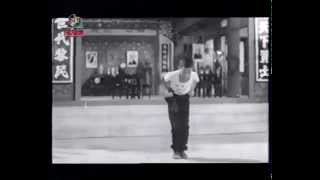 Choy Li Fut quotMon Gee Kuenquot 蔡李佛 萬字拳 [upl. by Ennairod577]