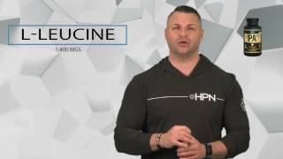 HPN Nutrition PA 7 Phosphatidic Acid Product Overview [upl. by Slyke]