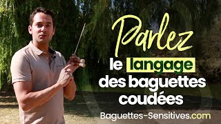 Comment parler le LANGAGE des baguettes coudées de sourcier  Mettre en place des CONVENTIONS [upl. by Zasuwa]