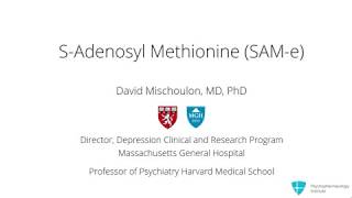 SAdenosylmethionine SAMe for Depression What Does the Evidence Say [upl. by Cochran140]