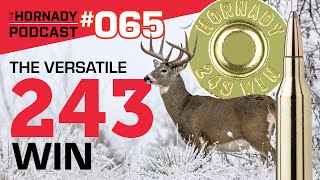 Ep 065  The Versatile 243 Win [upl. by Lashoh]