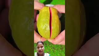 Red guava cutting shortvideo [upl. by Ullyot]