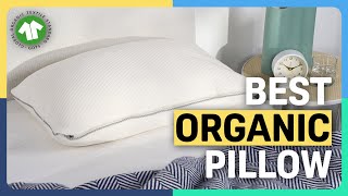 The Best Organic Pillows  Our Top 5 [upl. by Tilford]