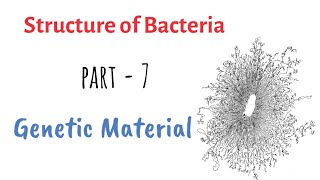 Structure of Bacteria  Part 7  Genetic Material [upl. by Morganica657]