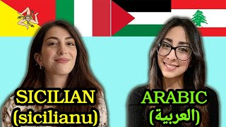 Similarities Between Arabic and Sicilian [upl. by Noivaz402]