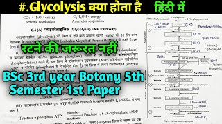 Glycolysis क्या है  EMP Pathway  Plant Physiology  BSc 3rd year Botany 5th semester 1st paper [upl. by Bound]