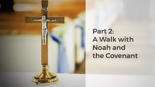 Bible Basics for Catholics  Noahic Covenant [upl. by Blount]