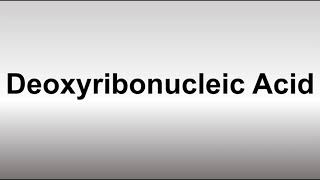 How to Pronounce Deoxyribonucleic Acid DNA [upl. by Lai764]