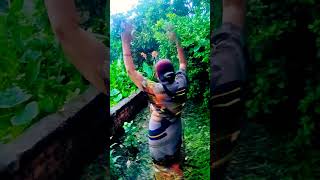 koyal boli duniya doli youtubeshorts song bollywood shortvideos expression viralvideos love [upl. by Suiravaj]