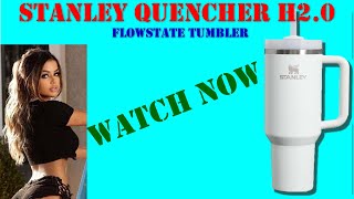 Stanley Quencher H2 0 FlowState Tumbler [upl. by Aelber]