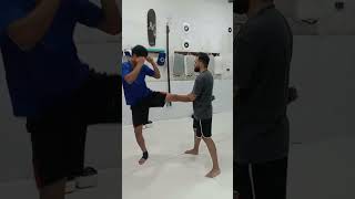 bora pra mais uma video aula de Muay Thai [upl. by Eeliab269]