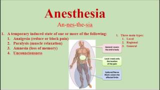 Anesthesia Pronunciation and Definition  How to pronounce anesthesia [upl. by Imak744]