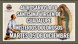 46 ROSARIOS A LA VIRGEN DE GUADALUPE MISTERIOS DOLOROSOS GUADALUPANO  MARTES 05 DICIEMBRE 2023 [upl. by Isleen]