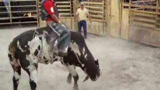 Nalva Aguiar  Cowboy De Rodeio  GeroZum [upl. by Malik573]