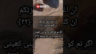 Surah Al Qalam Ayat 2130 qurantranslation shorts islamicvideo surahqalam islamicshorts [upl. by Killian373]