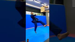 Taekwondo Kicks 8 best tricks [upl. by Ewnihc904]