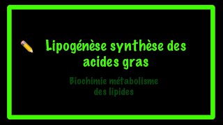 Biosynthèse des acides gras lipogénèse [upl. by Nehr]