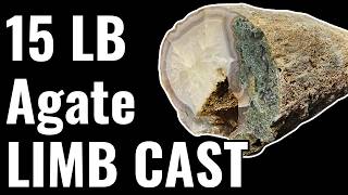 MASSIVE 15 Pound Agate Limb Cast  How to Polish a Rock [upl. by Bish]