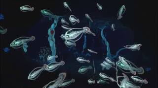 Subnautica – Kelp Forest Ambience Underwater  Creature Sounds White Noise [upl. by Cheyney]