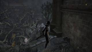 Dark Souls 3 The Ringed City  Dragonhead Shield Location [upl. by Inaliel]