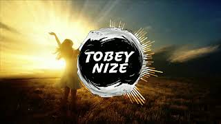 Mark Forster  Wenn Du Mich Rufst TOBEY NIZE REMIX [upl. by Aztiley]