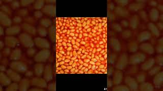 Beans just because beans beans meme viral memesdaily video ￼ [upl. by Stratton]