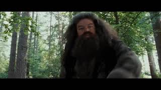 Harry Potter ale Hagrid ma flashbacki z GĂłrniczej Doliny [upl. by Lisetta]