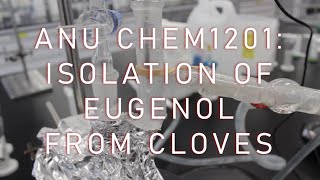 ANU CHEM1201 Experiment 5 Isolation of eugenol from cloves [upl. by Rimola466]