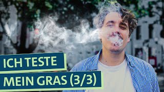 Wie gut ist mein Gras Selbstexperiment Cannabis Anbau Was muss ich beim Konsum beachten 33 [upl. by Anitsuga512]