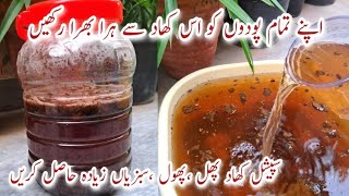 How to Make Organic Fertilizer for All Plants Special Cheap Fertilizer for Healthy Flowers amp Fruits [upl. by Koval]