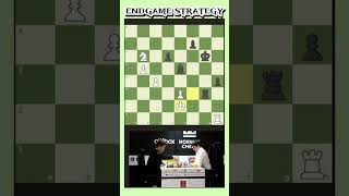 Carlsens Masterful Endgame Strategy [upl. by Yelrah]