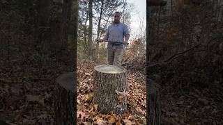 Splitting pignut hickory down the middle 57 splittingfirewood [upl. by Anuaik]