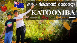 සරත් සමයේ 🍁🍂ලස්සන බලන්න අපි ගිය ගමන 🍁🌿l Life in Australia I Sinhala Travel Vlog [upl. by Saihtam]