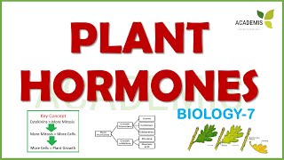 Plant Hormones  Biology7  RRB NTPCGroup D SSC CGLCHSLMTS [upl. by Rovner577]