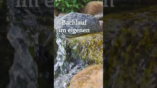 Bachlauf im Garten [upl. by Clorinda790]