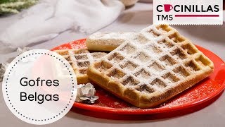 Gofres Belgas Caseros  Waffles  Recetas Thermomix [upl. by Ahseiyt]