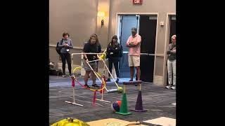 National Adapted PE conference TONTZ [upl. by Gyasi]