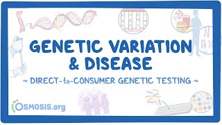 Genetic Variation and Disease DirecttoConsumer Genetic Testing 23andMe [upl. by Bugbee940]