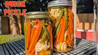 Easy DIY Quick Pickling Vegetables [upl. by Guenna]