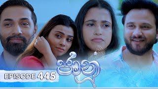 Jaanu  Episode 445  20241107  ITN [upl. by Laehcym]